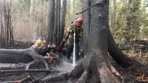 A firefighter works to stop the spread of the wildfire near Lodgepole, Alberta.  Officials have closed down parts of Highway 579 just west of Water Valley because a wildfire is causing heavy smoke in the area, which has reduced visibility 