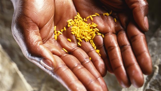 Faim dans le monde: de plus d'un milliard de personnes il y a 25 ans à 795 millions aujourd'hui