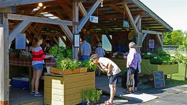 Le Marché Locavore de Racine en Estrie Le Marché Locavore de Racine en Estrie