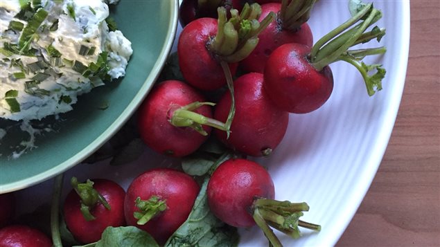 Assiette de radis servis avis avec un beurre aux fines herbes. Assiette de radis servis avis avec un beurre aux fines herbes.