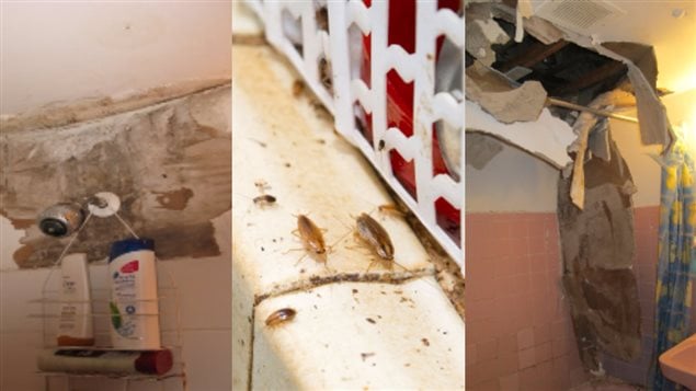 À défaut de pouvoir entrer à l'intérieur des logements, des photos de l’intérieur des appartements ont été présentées lors de la visite guidée. À défaut de pouvoir entrer à l'intérieur des logements, des photos de l’intérieur des appartements ont été présentées lors de la visite guidée.