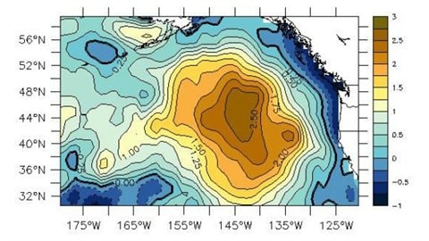 Les anomalies de températures en degrés Celsius de l'océan Pacifique enregistrées en mars 2014.