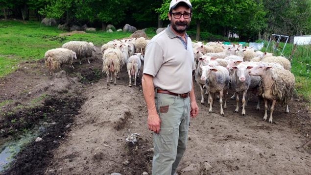 Christian Girard avec une partie de son troupeau de brebis Christian Girard avec une partie de son troupeau de brebis