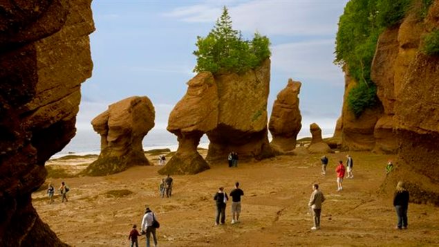 Ces gigantesques monolithes surnommés les pots de fleurs font la renommée de la baie de Fundy