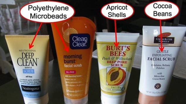 Plastic microbead use has become widespread in personal care products from abrasive soaps and scrubs to toothpastes. athough there are natural alternatives such as ground-up nut shells