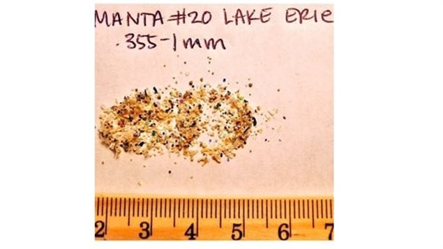 Tiny plastic microbeads used in a wide variety of personal care products pass through water treatment plants and into the environment where they may harm fish and other aquatic life