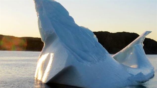Nature imitating nature? Barry Rogers took this photo of an iceberg that looks like the whales around it while out on one of the tours last year.