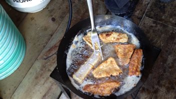 In spite of mercury contamination, fish is a staple for indigenous people living in Grassy Narrows, Ontario. Many are too poor to obtain other food.