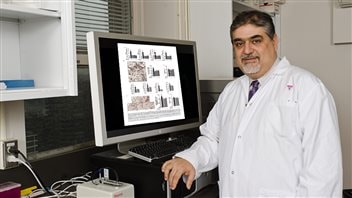 Dr. Vassilios Papadopoulos says DINCH and similar plasticizer compounds are not inert as was thought and they “have effects” that must be studied to see if they are safe.