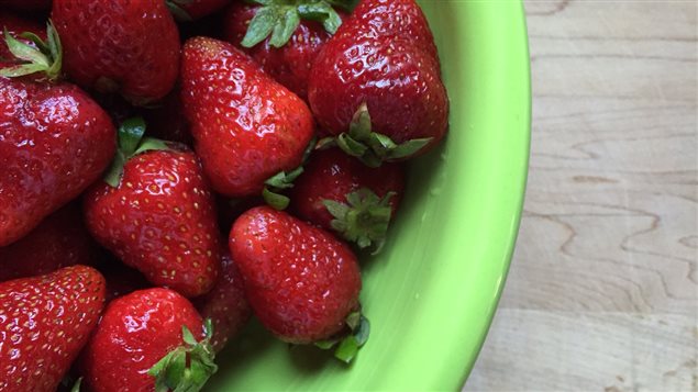 Les fraises ne sont pas véritablement un fruit. Ce sont plutôt les petites graines à l'extérieur de celles-ci qui le sont. Les fraises ne sont pas véritablement un fruit. Ce sont plutôt les petites graines à l'extérieur de celles-ci qui le sont.
