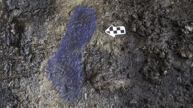 En bleu, tracé de l'empreinte de pied logée dans l'argile