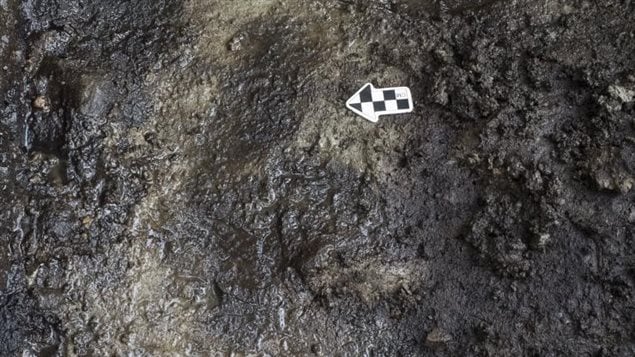 L'empreinte de pied (en noir) telle qu'elle est apparue aux archéologues, une fois les sédiments enlevés