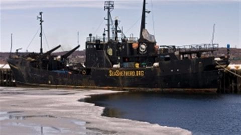 The anti-sealing vessel Farley Mowat sits at berth in Sydney, N.S. on Friday, March 27, 2009. It began sinking Wednesday night in Shelburne Harbour. 