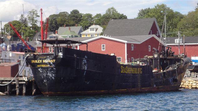 The partially disassembled Farley Mowat at Lunenburg in 2013.The steel plate on the afterdeck is now all that's visible above water at Shelburne