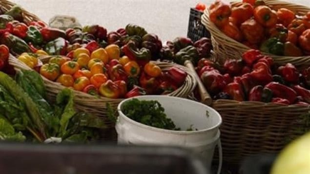 Access to vegetables in many parts of Canada is severly limited when vast tracts of land are growing crops for export only.