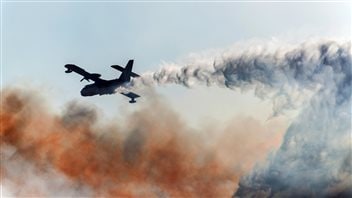 Un bombardier d'eau combattant un feu de forêt