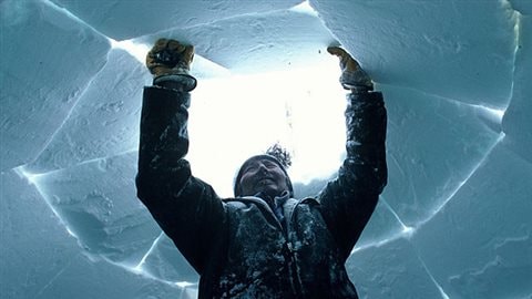 No Canadians don't live in igloos. Only 16% have ever been in one. Sometimes  though Canadians, often kids, will build them in theif backyards in winter.