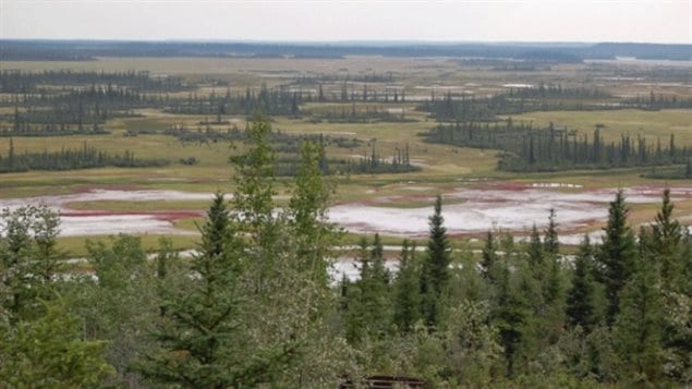 Wood Buffalo National Park was granted World Heritage status by UNESCO in 1983. An indigenous tribe asked that the park be designated as “in danger.”