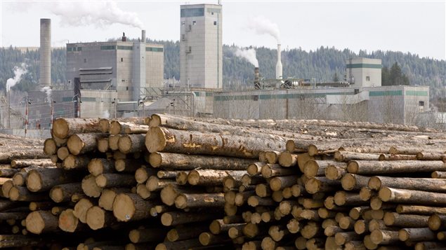 Japan is unhappy with Canadian pricing of lumber exports. We see lots and lots of cut logs in the foreground of the picture with the city of Quesnel, B.C. (composed of several tall buildings--10 stories or so) behind the logs. Behind the city lie some low-slung mountains. 