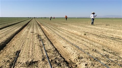 According to a new study, in the decades ahead California and the southwestern US can expect much worse droughts than the southwestern US is already experiencing. So-called 