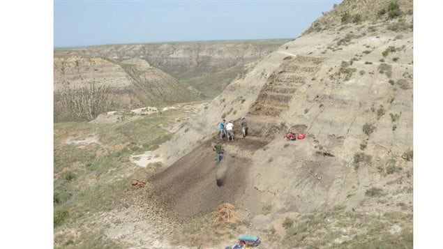 the team removing the tons of rock from above the fossil-bearing bonebed layer where the new dinosaur was found (summer 2012). 