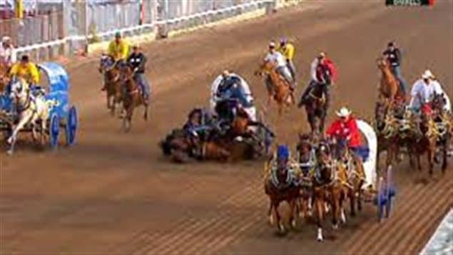 At the heart of the dispute between animal rights activists and the Calgary Stampede are events like this 2012 chuckwagon race crash in which one horse died instantly and two others were put down by veterinarians. We see chuckwagon and its horses crumbled in the middle of the dirt track. On either side, three other teams continue to race, followed by outriders. The colours on the wagons and on the drivers are bright, primary reds and blues.