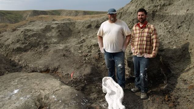  Dr. Michael Ryan (left) and Dr. David Evans (right), co-authors of the paper describing Wendiceratops pinhornensis