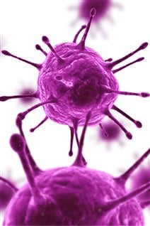 The adenovirus (above) used in the trial is an engineered version of the common cold. It is deep pink in colour, bullet shaped and has what appear to be tentacles coming out of it from all sides.