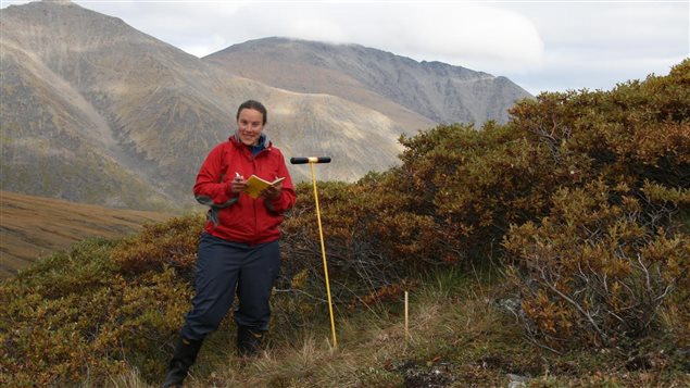 Isla Myers-Smith PhD (University of Edinburgh)  lead author of the Nature Climate Change paper measuring shrub growth and permafrost in the Ruby Range, Yukon. She began her PhD research at Hik's lab at the Univeristy of Alberta
