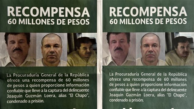 Avisos de recompensa distribuidos por el gobierno mexicano para tratar de capturar al narcotraficante Joaquin « El Chapo » Guzmán Loera.