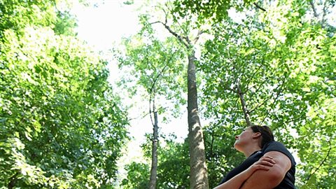 Ash trees are large majestic shade trees and make up a significant percentage of trees in central and eastern Canadian forests and cities. Lindsay Burtenshaw, terrestrial ecologist with Hamilton's Royal Botanical Gardens, looks up at a tree injected against the emerald ash borer. Often however, when EAB's are detected, it's already too late to save the tree.