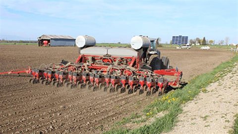 It is now almost standard to have neonic-coated seeds at planting. An additional problem is