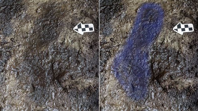 Stained blue through photo enhancement, one of the human footprints emerges from the waterlogged gray clay.