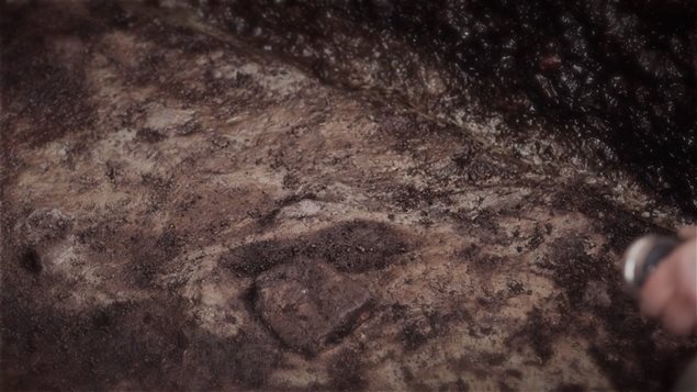 Clear evidence of a human footprint possibly from the last ice-age over 13,000 years ago, found on an island off the British Columbia coast
