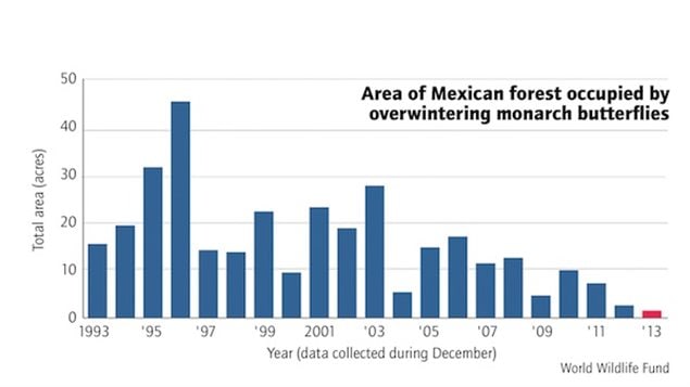 The overwintering area occupied by monarchs declined from a high of 45 acres of Mexican forest in 1995, to less than 2 acres in 2014