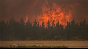 炎热干旱导致今年加西地区森林火灾严重