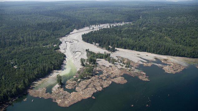 Contents from the tailings pond at the Mount Polley mine is pictured going down the Hazeltine Creek into Quesnel Lake near the town of Likely on August, 5, 2014.  We see a long aerial shot of the British Columbia interior. It is filled with dark pines extending for miles to a mountains in the distance. Running between the trees, we see what appears to be a river. Only instead of water, we see grey silt leading to a bay that is filled with downed logs and ugly dark green and blue water.