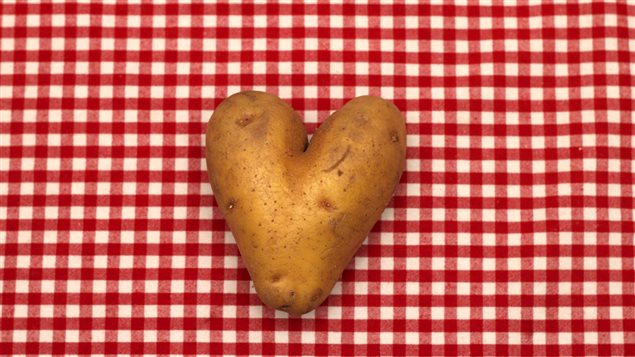 Le Festival de la patate de Notre-Dame-de-la-Paix. Le Festival de la patate de Notre-Dame-de-la-Paix.