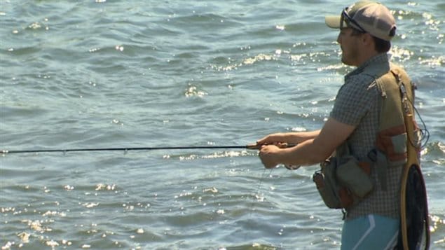 Anglers are not even allowed to catch and release fish on some rivers in the western province of Alberta that are running hotter than usual.