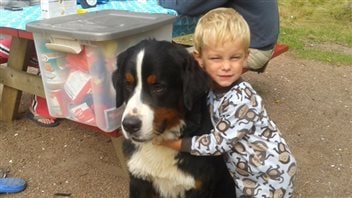 This Bernese mountain dog was saved after he fell through some ice, but he faces an early death and plenty of pain because of inbreeding. We see a little boy (maybe two or three years old) in pajamas on the right hugging a big, mainly black dog with a white stripe down his forehead. In the background is a garbage bin next to a pinic table.