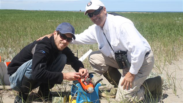 Biologist David Bird (right) and formal doctoral student Dominique Chabot prepared their fixed-wing drone to fly high over a common tern colony.