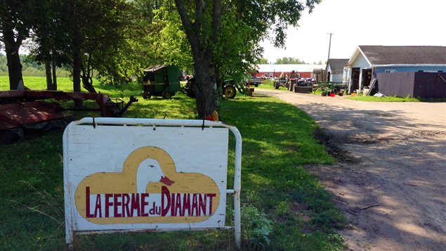 La ferme du Diamant, à Saint-André-Leblanc, près de Cap-Pelé au Nouveau-Brunswick La ferme du Diamant, à Saint-André-Leblanc, près de Cap-Pelé au Nouveau-Brunswick