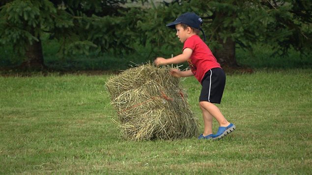 Rencontre agriculteur canada