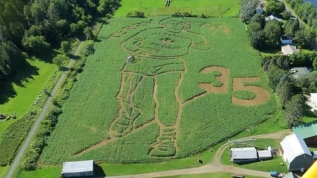 Des fermiers du N.-B. ont créé une réplique de Terry Fox dans leur champ de maïs