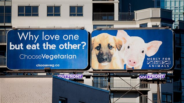 Two large billboards in Burlington Ontario ask why some animals are our friends and why we choose others to be our food.