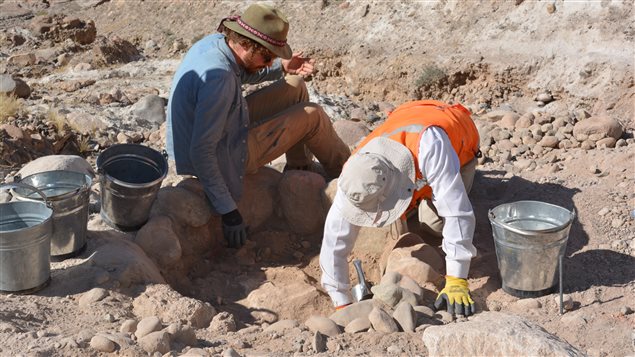 Excavación en Vilcabamba.