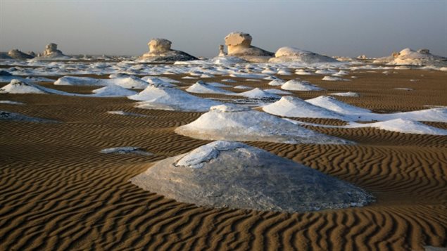 Desierto occidental de Egipto donde las autoridades egipcias mataron por error a 12 personas e hirieron a 10 más.