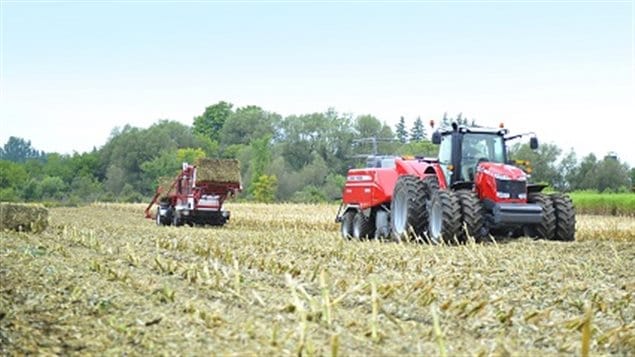 Corn stalk baling demo-– Visitors can see large square and round balers in action. one of many equipment demonstations 