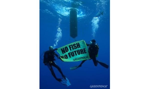 Greenpeace divers hold up a banner that reads