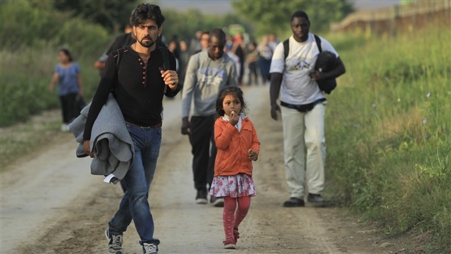 Un grupo de migrantes camina de lado serbio de la frontera, cerca de Sid.